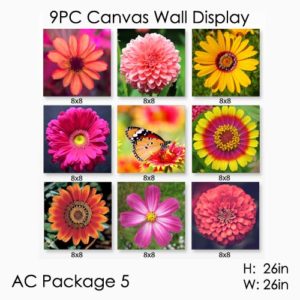 canvas prints